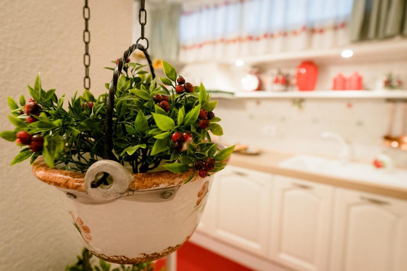 Appartamento Il Papavero Rosso Grosseto Buitenkant foto